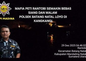 SATMA AMPI MADINA :Mafia PETI Rantobi Semakin Bebas, Polsek Batang Natal Diduga Tak Berdaya