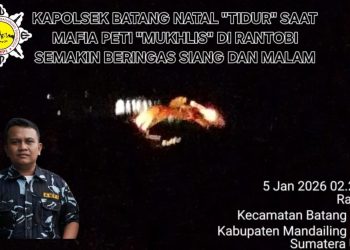 PETI Terang-terangan di Rantobi, Kapolsek Batang Natal Didesak Dicopot