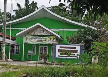 Kejati Sumut Diminta Periksa dan Selidiki DD dan ADD di Desa Kepala Sungai