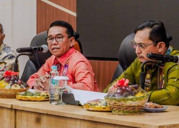 Zakiyuddin Sampaikan Persoalan Normalisasi Sungai di Hadapan DPR RI