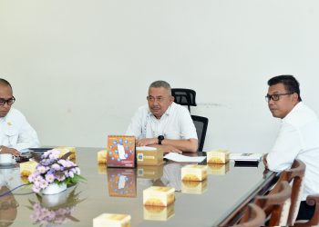 Pemprov Sumut Targetkan Penyusunan R3P Selesai Akhir Januari