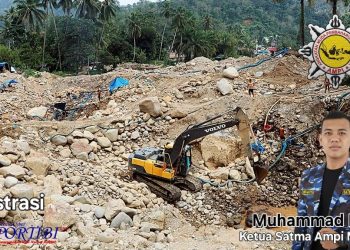 Dua Ekskavator Masuk Zona TN Batang Gadis, Satma AMPI Desak Kapolda Sumut Tangkap Aktor Mafia PETI