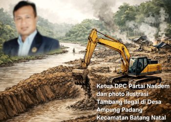 Menghantam Marwah Partai, Oknum Ketua DPC Nasdem Diduga Lakukan Praktik Tambang Emas Ilegal dan Pemasokan BBM Solar