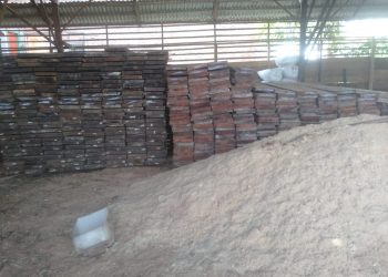 Tumpukan Kayu Olahan di Jalan Pelita Pelalawan Diduga Hasil Perambahan Hutan