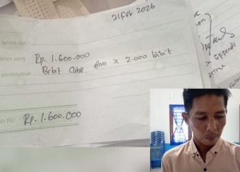 Anggaran Ketapang di Desa Tanjung Gusti Diduga Digunakan Untuk Simpan Pinjam
