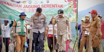 Dalam Upaya Mendukung Ketapang  PD PAL Pakpak Bharat Bresama Polres Pakpak Bharat Tanam Jagung Bersama