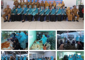 Ketua TP PKK Kabupaten Asahan Lakukan Pembinaan Lomba UP2K PKK di Kelurahan Sentang