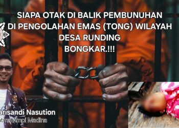 Jangan Hanya Rakyat Ditangkap! Satma AMPI Madina Desak Aktor Intelektual Kasus Tambang Berdarah Dibongkar