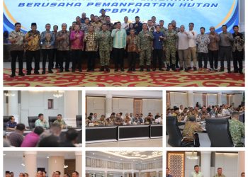 Bupati Asahan Hadiri Sosialisasi Pencabutan Perizinan Berusaha Pemanfaatan Hutan (PBPH) 