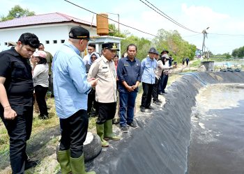 Tinjau UPTD BIAPAL Sialang Buah, Wagub Sumut Surya Dorong Peningkatan PAD Sektor Perikanan