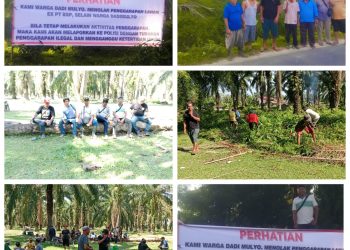 Warga Dadi Mulyo Dan Sidodadi Menolak Penggarapan Lahan Eks PT. BSP Selain Warga Tempatan
