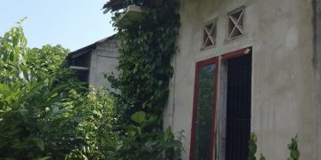 Terkait Proyek Rumah Dinas Nakes yang Diduga Mangkrak, Camat Simuk Gentleman Bago Berharap Agar Dilanjutkan Penyelesaian Pembangunannya