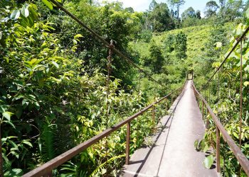 Akses Petani Terancam! Bupati Pakpak Bharat dan Kodim 0206/Dairi Survei Jembatan Gantung Mbinalun