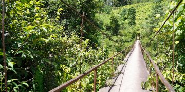 Akses Petani Terancam! Bupati Pakpak Bharat dan Kodim 0206/Dairi Survei Jembatan Gantung Mbinalun