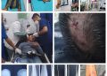 Oknum Penggarap Lahan Lakukan Penembakan Senapan Angin ke Karyawan Pemanen dan Security PT Bakrie Sumatera Plantations Tbk 
