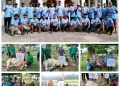 Idul Adha 2026 Keluarga Besar Bakrie Qurban 6 Ekor Sapi di Kisaran