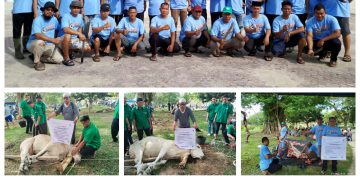 Idul Adha 2026 Keluarga Besar Bakrie Qurban 6 Ekor Sapi di Kisaran