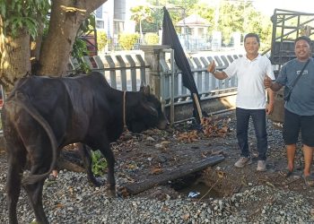 BNCT dan Bea Cukai Belawan Kolaborasi Salurkan Hewan Qurban Untuk Masyarakat Belawan