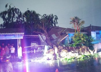 Pohon Tumbang Timpa Rumah Warga di Medan Denai, Anggota DPRD Minta Pemko Perkuat Mitigasi Cuaca Ekstrem