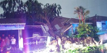 Pohon Tumbang Timpa Rumah Warga di Medan Denai, Anggota DPRD Minta Pemko Perkuat Mitigasi Cuaca Ekstrem