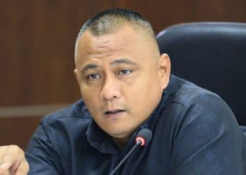 Ahmad Afandi : Pembangunan BRT Medan Jangan Sampai Korbankan Ribuan Pohon