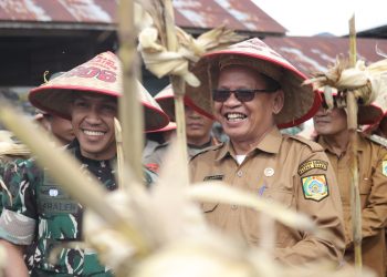 Di Hadiri Sekda Kabupaten Pakpak Bharat Batalyon TP 906 Sanalenggam Panem Perdana Jagung