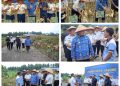 Wakil Bupati Asahan Ikuti Panen Raya Jagung di Lapas Minimum Security Asahan