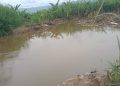 Tanggul Aliran Sungai batang Angkola Tak Kunjung Diperbaiki, Petani di Kecamatan Siabu Takut Gagal Panen Lagi