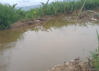 Tanggul Aliran Sungai batang Angkola Tak Kunjung Diperbaiki, Petani di Kecamatan Siabu Takut Gagal Panen Lagi