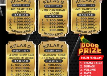 Ayo Saksikan Pameran Dan Kontes Burung Berkicau “Kibo Lanciau Cup I” Dengan Hadiah Menarik
