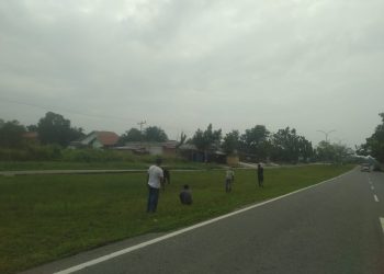 Kabid Tata Ruang PUPR Pelalawan: Penanaman Pohon di Kawasan Tugu Bono Merupakan Ruang Terbuka Hijau