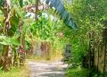 Diduga Gudang Limbah di Kelurahan Rengas Pulau Keluarkan Bau Busuk Hingga Resahkan Warga