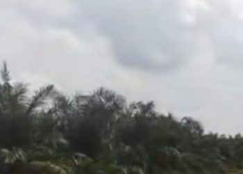 Humas PT SWP: HGU 1363 Telah Mengantongi Sertifikasi RSPO dan ISPO