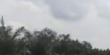 Dugaan Penyerobotan Lahan HPL Transmigrasi Kuala Tolam Dilaporkan, Warga Minta Aparat Bertindak
