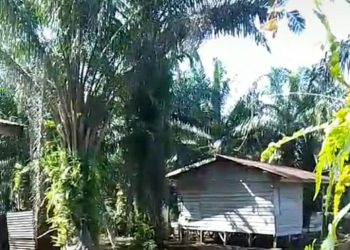 Perumahan Transmigrasi untuk 780 KK di SP 1 dan SP 2 Desa Kuala Tolam Telah Terbangun