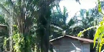 Perumahan Transmigrasi untuk 780 KK di SP 1 dan SP 2 Desa Kuala Tolam Telah Terbangun