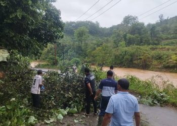 Pohon Tumbang di Simpang Gambir, Jalan Lintas Barat Menuju Kota Natal Terhambat
