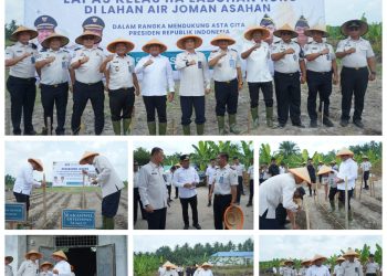 Wakil Bupati Asahan Melaksanakan Penanaman Jagung Ketahanan Pangan Lapas Kelas IIA Labuhan Ruku Asahan