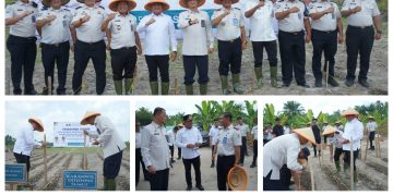 Wakil Bupati Asahan Melaksanakan Penanaman Jagung Ketahanan Pangan Lapas Kelas IIA Labuhan Ruku Asahan
