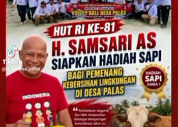 HUT RI ke-81, H. Samsari AS Siapkan Hadiah Sapi bagi Pemenang Lomba Kebersihan Lingkungan di Desa Palas