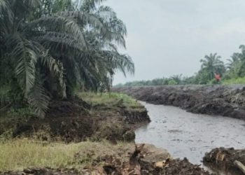 Diduga Aliran Sungai Diubah di Areal Kebun PT Sinar Haska Lestari, Publik Pertanyakan Legalitas dan Dampak Lingkungan