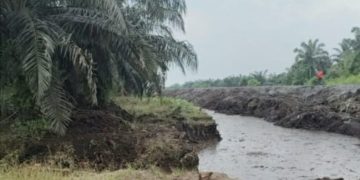 Diduga Aliran Sungai Diubah di Areal Kebun PT Sinar Haska Lestari, Publik Pertanyakan Legalitas dan Dampak Lingkungan