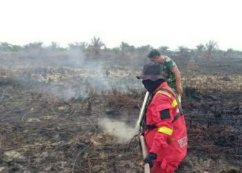 WASPADA MUSIM KEMARAU, MASYARAKAT DIMINTA TINGKATKAN KEWASPADAAN KEBAKARAN