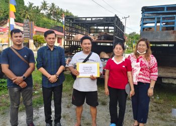 121 Bibit Babi Disalurkan ke Enam Kelompok, Pemkab Nias Selatan Minta Dikembangkan