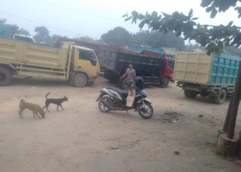 Mobil Langsir Solar Subsidi Diduga Antre di Jalan Poros PT RAPP KM 5
