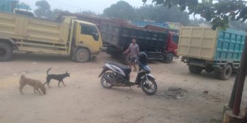 Mobil Langsir Solar Subsidi Diduga Antre di Jalan Poros PT RAPP KM 5