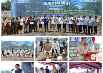 Bupati Asahan Lakukan Tanam Perdana PSR Kemitraan dan Intercropping Padi Gogo di Koperasi Kesepakatan