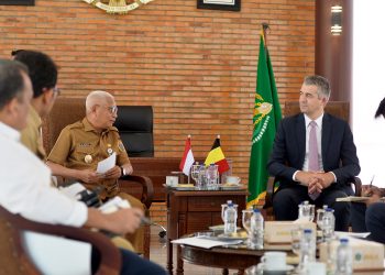 Wagub Surya Tawarkan Potensi Investasi Sumut kepada Duta Besar Belgia