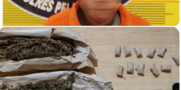 Polres Belawan Amankan Terduga Pengedar Ganja di Hamparan Perak