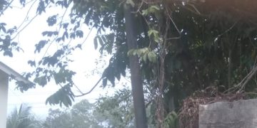 Satu Tiang, Empat Kepentingan Pengusaha di Tengah Pembangunan Drainase BTN Lama